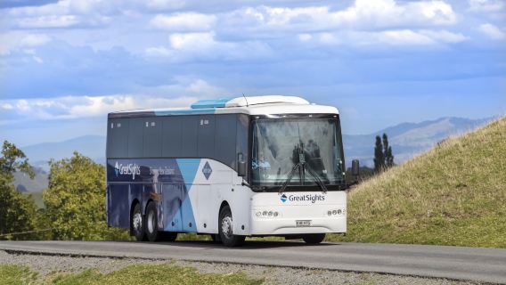 Bus turístico por la costa oeste de la Isla Sur de Nueva Zelanda desde Queenstown/Wanaka - Glaciar Fox, Glaciar Franz Josef, Greymouth