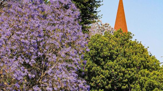 納米比亞&温得和克【包車一日遊】休閒購物與市井風情線