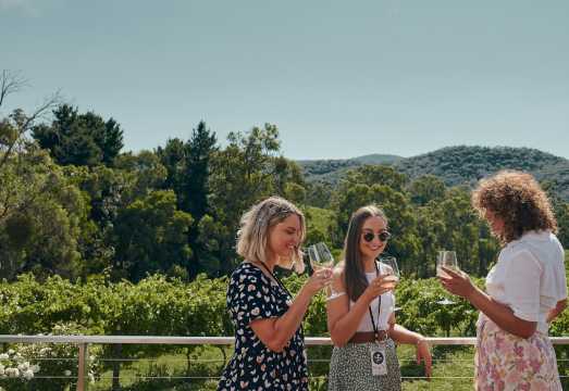 Mornington Peninsula: Hop-on-Hop-off Bus Tour from Melbourne AUD 95.09