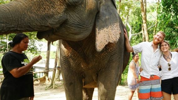 Elephant Retirement Park Phuket: programma di cura degli elefanti + trasferimenti + pranzo