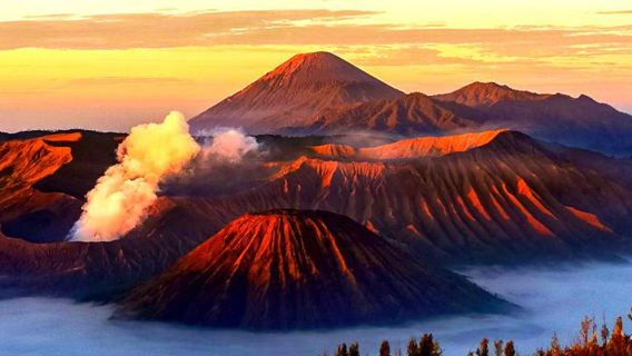 ทัวร์ภูเขาไฟโบรโม 1 วัน ที่ซูราบายา อินโดนีเซีย [ทัวร์พระอาทิตย์ตก & ไม่ต้องตื่นเช้า หลีกเลี่ยงการเดินป่าที่แออัด]