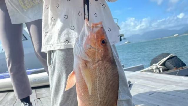 珠海專業釣魚艇出發4小時 可散客拼團可包船 提供魚餌漁具 礦泉水