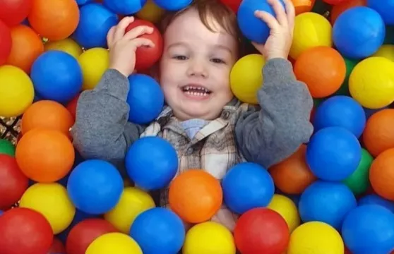 坎培拉樹頂探險:入場門票成人