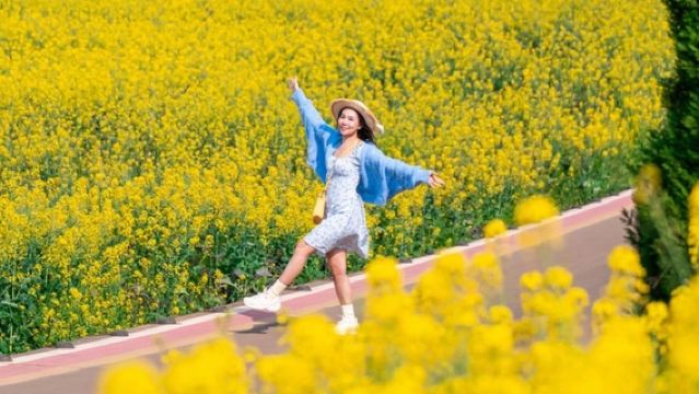 私家團●重慶+潼南大佛寺+陳摶故里·崇龕花海包車一日遊上門接