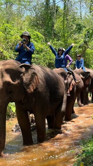 Luang Prabang, Laos | Kuang Si waterfall + elephants + countryside (admission ticket not included)