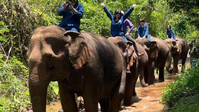 Luang Prabang, Laos | Kuang Si waterfall + elephants + countryside (admission ticket not included)