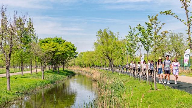 2026 Busan Bahar Yürüyüşü 9K Deneyimi (Bitirme Madalyası ve Diğer Hediyeler Dahil)