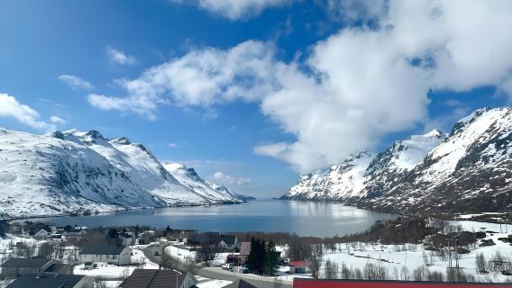 Excursion d'une demi-journée dans les fjords en anglais (Voyage en groupe) au départ de Tromsø