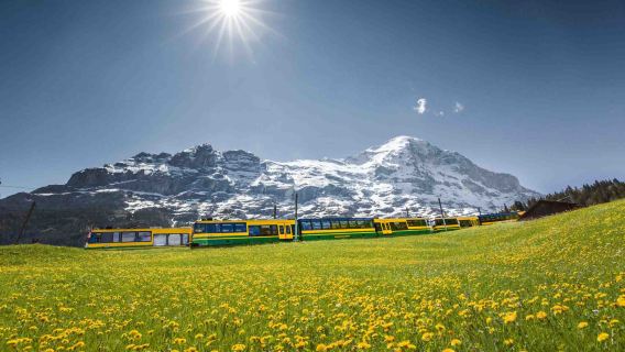 Billete de tren/teleférico a Jungfraujoch (ida y vuelta) | Grindelwald ida y vuelta/Teleférico exprés Eiger/Lauterbrunnen ida y vuelta/Entrelagos ida y vuelta