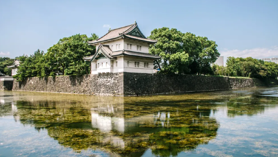 日本/大阪/京都/神戶/奈良/札幌/東京/翻譯/地陪/留學生嚮導陪遊