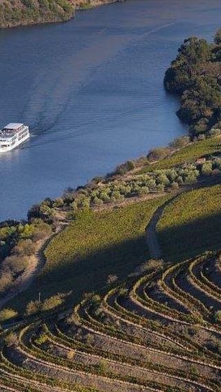 1-day tour to Douro Valley panoramic cruise in Portugal with breakfast and lunch on board | Cruise out and return by car