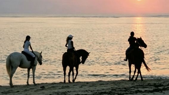Passeio de um dia nas Ilhas Maurício com passeio a cavalo na praia da Montanha Le Morne + almoço no restaurante no topo da montanha + Terra das Sete Cores