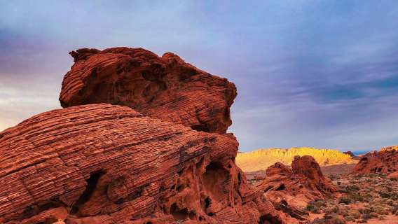 Amerika Syarikat Las Vegas - Taman Negeri Valley of Fire - Batu Pasir Riolit [Kereta Khas - Kebebasan Penuh]