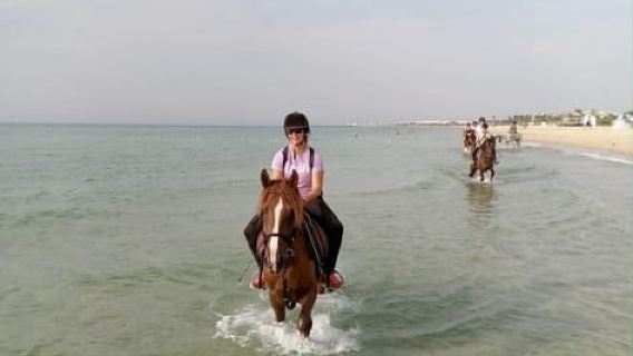 Hammamet: 1.5-hour Sunset Horseback Ride on the Beach with Optional Swimming