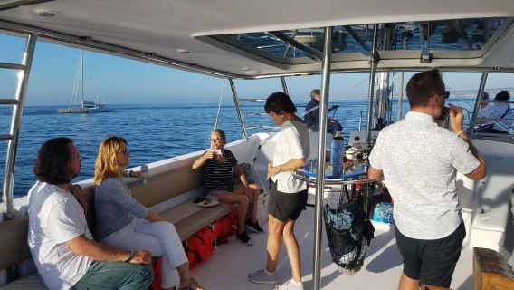 Monterey: Catamaran Sailing Cruise