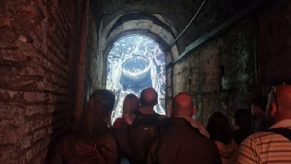 Rome: Colosseum Arena Floor or Underground Tour
