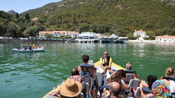 Setúbal and Tróia: Dolphin Watching and Arrábida Bays