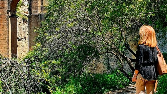 Ronda e Setenil de las Bodegas: Passeio de um dia saindo de Málaga + Visita Guiada Opcional
