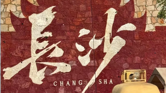 Tagesausflug mit englischsprachiger Privattour zum Hunan-Museum, Yuelu-Akademie, Aiwan-Pavillon und Orange Island