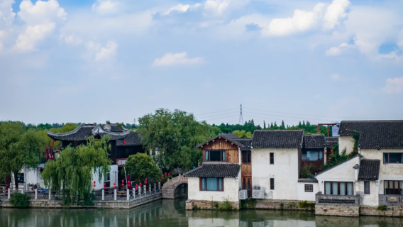 [Bertolak dari Shanghai] Taman Tanah Lembap Shajiabang + Kawasan Pemandangan Kaki Cantik Tasik Yangcheng lawatan sehari