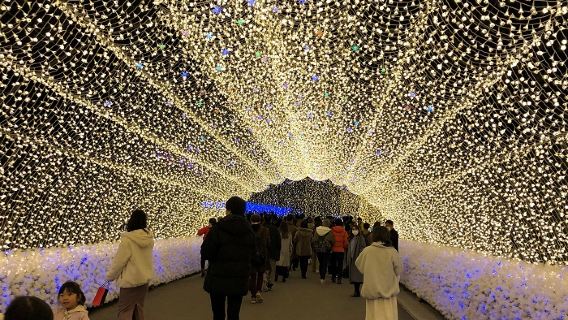 名古屋出發　長島奧特萊斯＋名花之鄉浪漫之旅