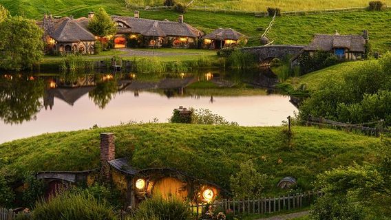 Waitomo CavesTours