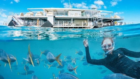 Airlie BeachTours