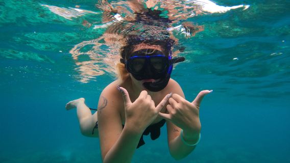 From Phi Phi: Half-Day Morning Speedboat Tour to Maya Bay with Snorkel