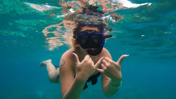 From Phi Phi: Half-Day Morning Speedboat Tour to Maya Bay with Snorkel