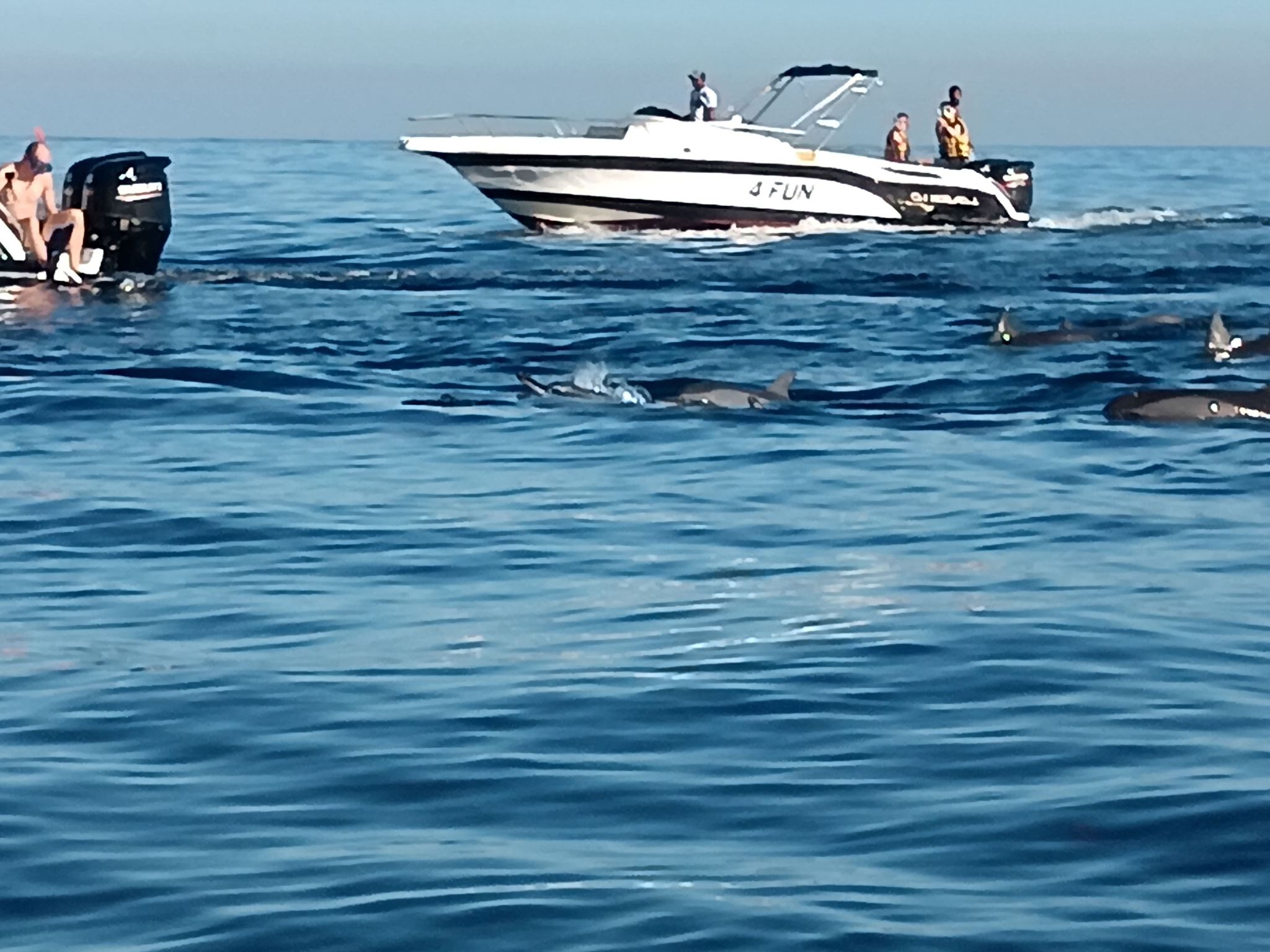 Mauritius Speedboating Dolphin Chase + Casela Zoo Day Tour/Pier Meeting Point/Hotel Transfer