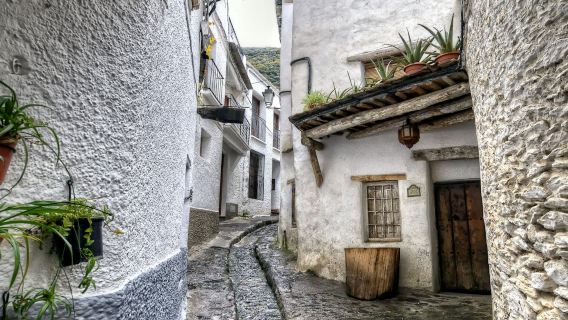 Alpujarra: Tur Terpandu dari Granada