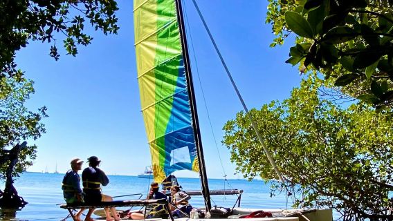 Miami Biscayne Bay: Intimes Öko-Segelabenteuer + Schnorcheln