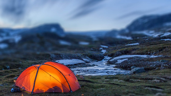 ノルウェーフォルゲフィヨルド国立公園+ハダンゲルフィヨルド日帰りツアー[中国語と英語のチャーター車|ストローク調整可能】