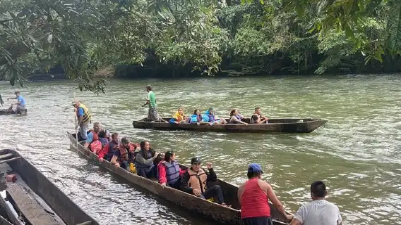 Full Day to Puyopúngo Excursion in the Amazon