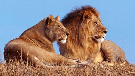 KigaliTours