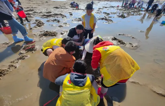 山東日照蔡家灘趕海體驗【提供趕海工具+領隊教學指導+收穫歸客人所有】
