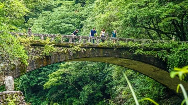 Takachiho One-Day Tour
