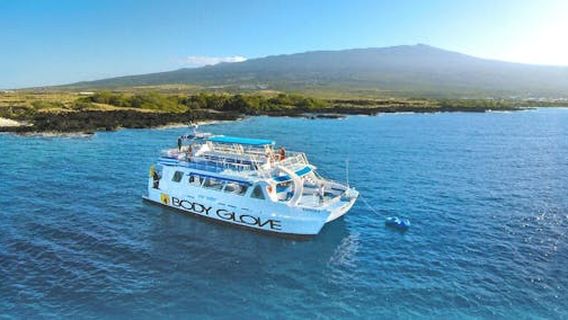 The Big Island (Hawaii island)Experiences