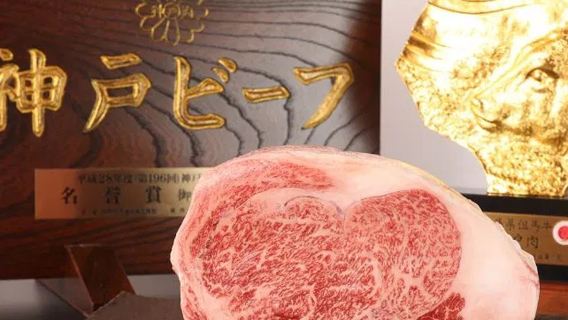 Teppanyaki in Fukuoka | Hakata no Ouka | A5 Kobe Beef & Spiny Lobster Indulgence