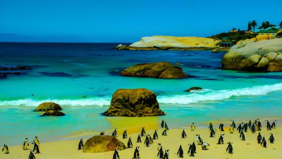 墨爾本普芬比利蒸汽火車+菲利普島一日遊/當地跟團/定制包車遊