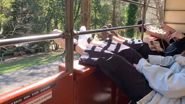 Melbourne Puffing Billy Steam Train + Pulau Phillip: Eksplorasi Kereta Api Stim dan Penguin Kecil