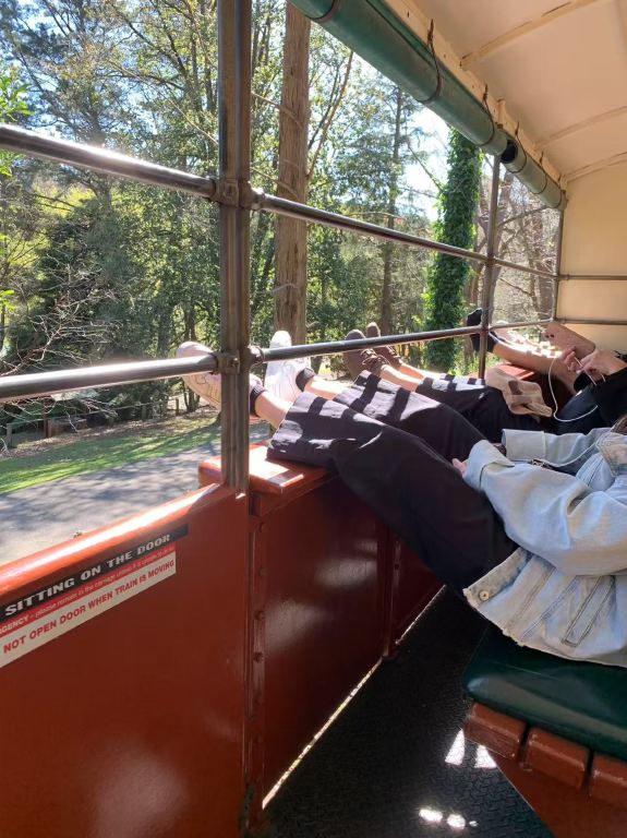 墨爾本普芬比利蒸汽火車＋菲利普島：蒸汽小火車和小企鵝探索之旅