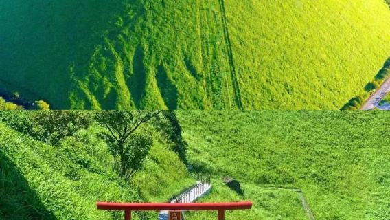 日本伊豆觀海列車＋大室山＋城崎海岸＋門脅吊橋包車一日遊