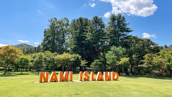 Roundtrip Shuttle Bus from/to Nami Island One Day Tour (Hongdae/Dongdaemun/Myeongdong pick up and drop off)