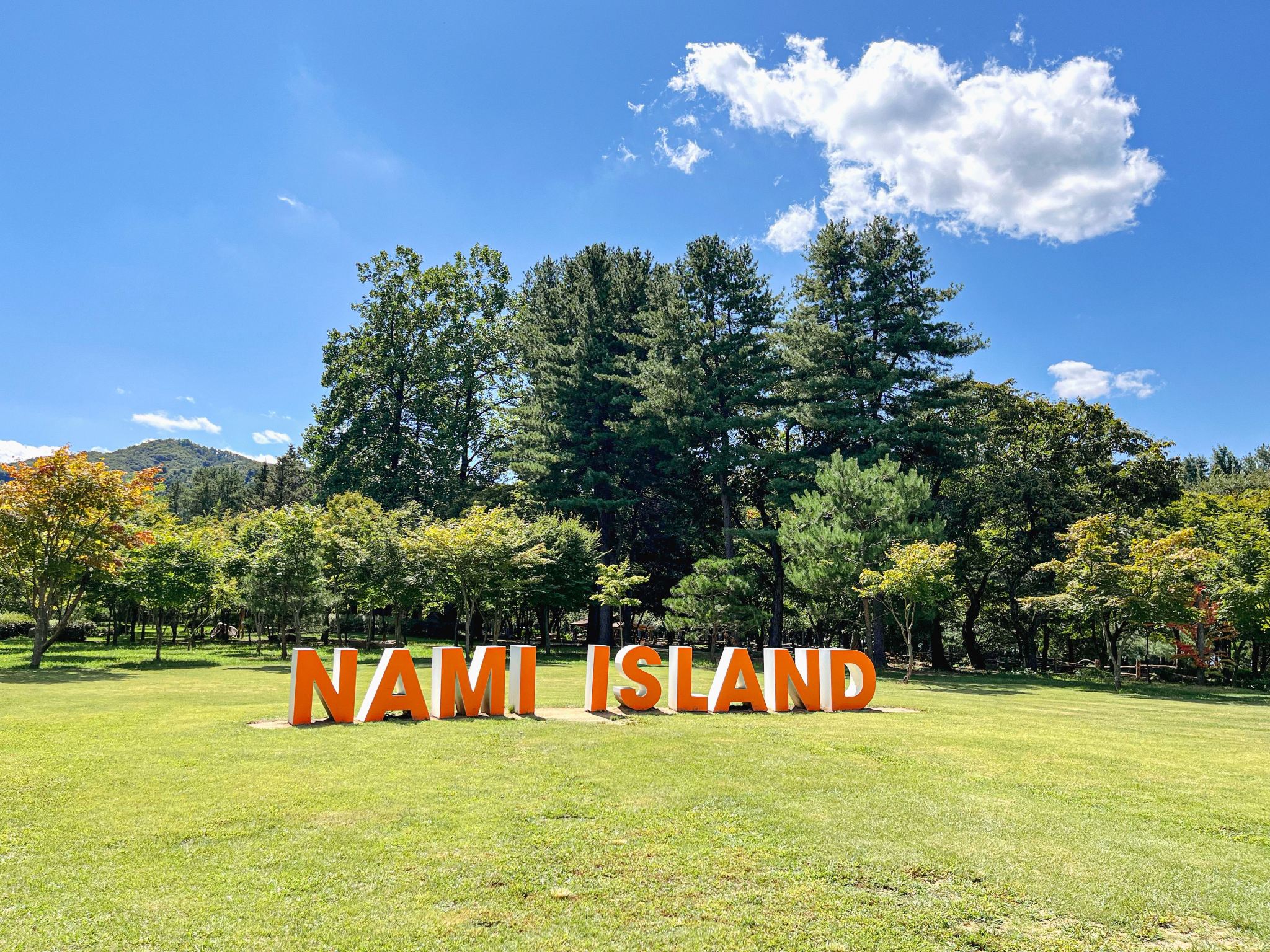Roundtrip Shuttle Bus from/to Nami Island One Day Tour (Hongdae/Dongdaemun/Myeongdong pick up and drop off)