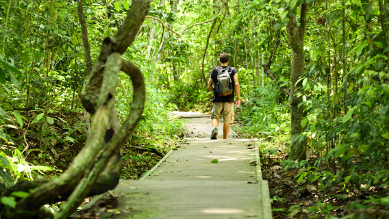 Tour Ngày Taman Negara Với Chuyến Đi Trek Từ Kuala Lumpur (Chia sẻ)