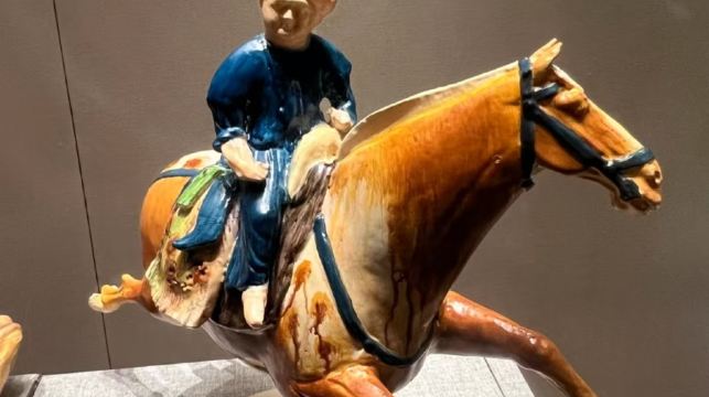 大慈恩寺+大雁塔+西安博物院+小雁塔遺址公園+回民街*純玩