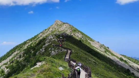 包車遊尊享私人導覽【太白山國家森林公園】打卡雲海.探秘太白之旅