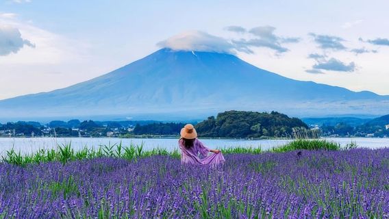 FujikawaguchikoTours