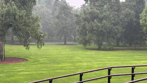 Locals guide you through a Tai Chi experience at the Temple of Heaven and a southern Beijing snack and Food and Beverages tour (includes Temple of Heaven admission ticket) - Beijing - Eatwith